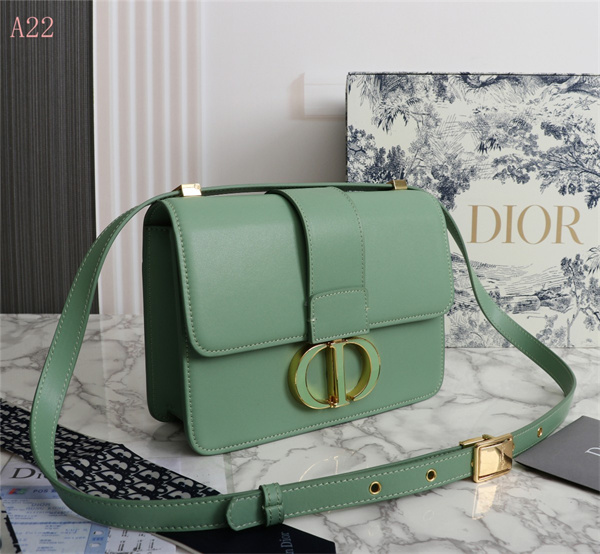 Dior Bags AAA 053
